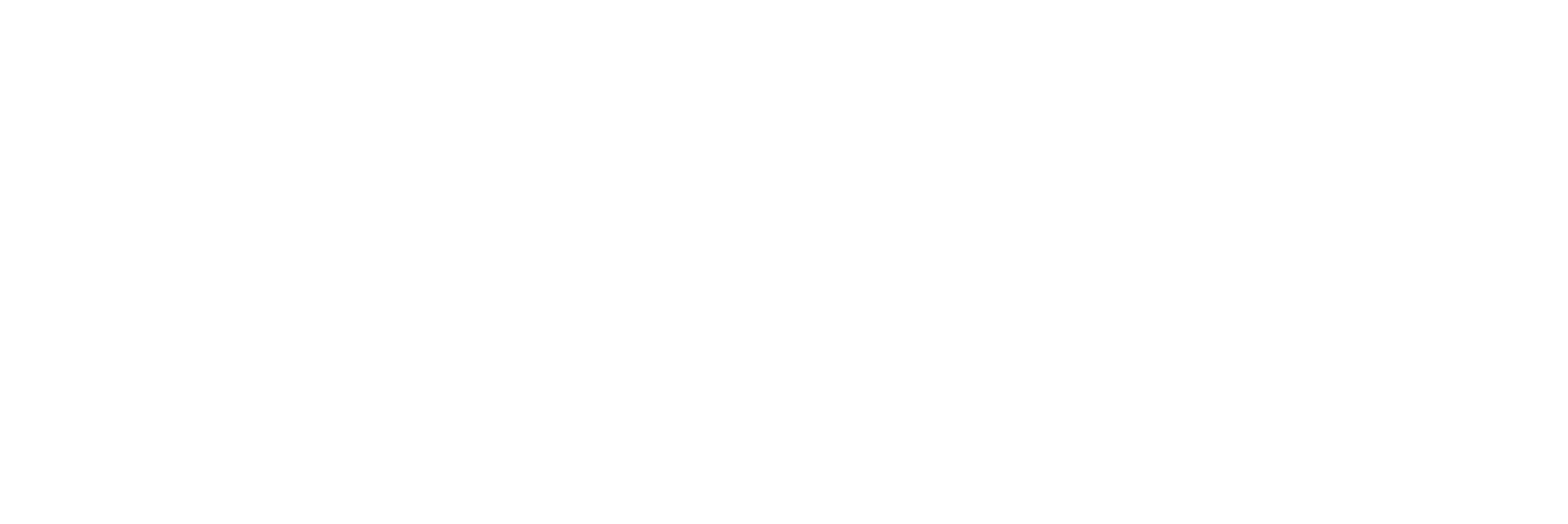 SACC AAPI Night Market logo